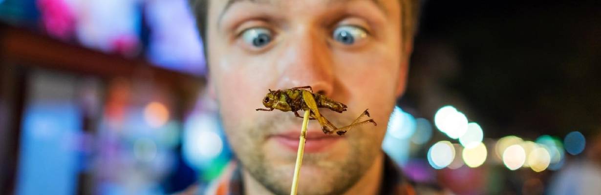 Comidas mais estranhas do mundo: os pratos que desafiam até os viajantes mais curiosos