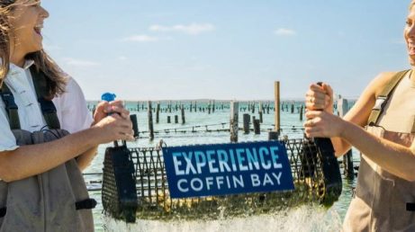 Viagem à Coffin Bay: como é o almoço dentro d’água na fazenda de ostras australiana