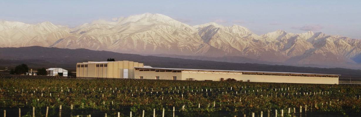 Vinícola Doña Paula conquista Best Of Wine Tourism Awards de 2026