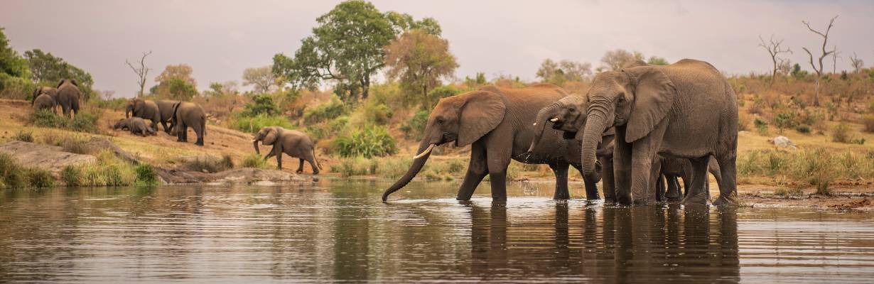 Enchentes no Parque Kruger provocam evacuações e restrições ao turismo na África do Sul