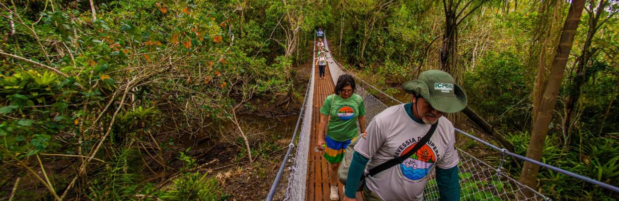 Trilha inédita marca nova fase de visitação no Parque Nacional do Superagui