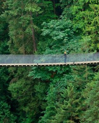 Capilano Suspension Bridge Park