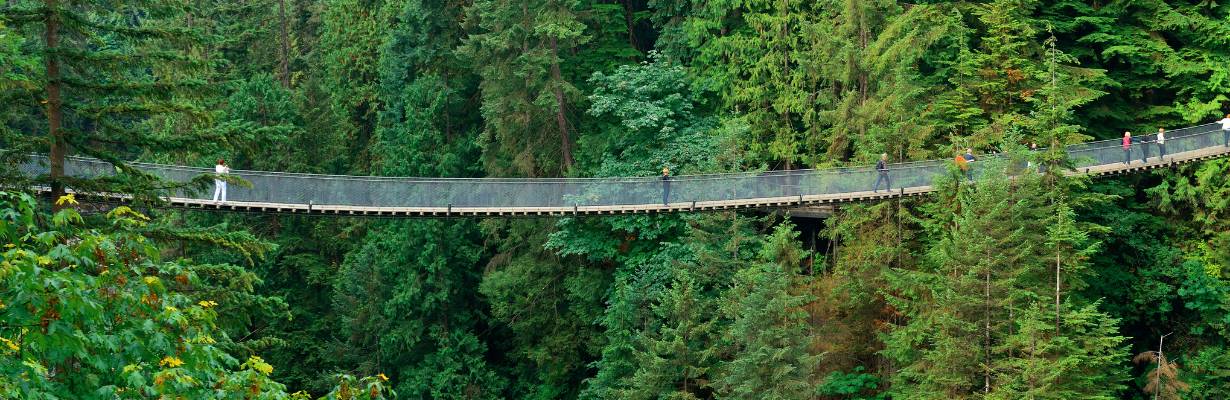 Capilano Suspension Bridge Park