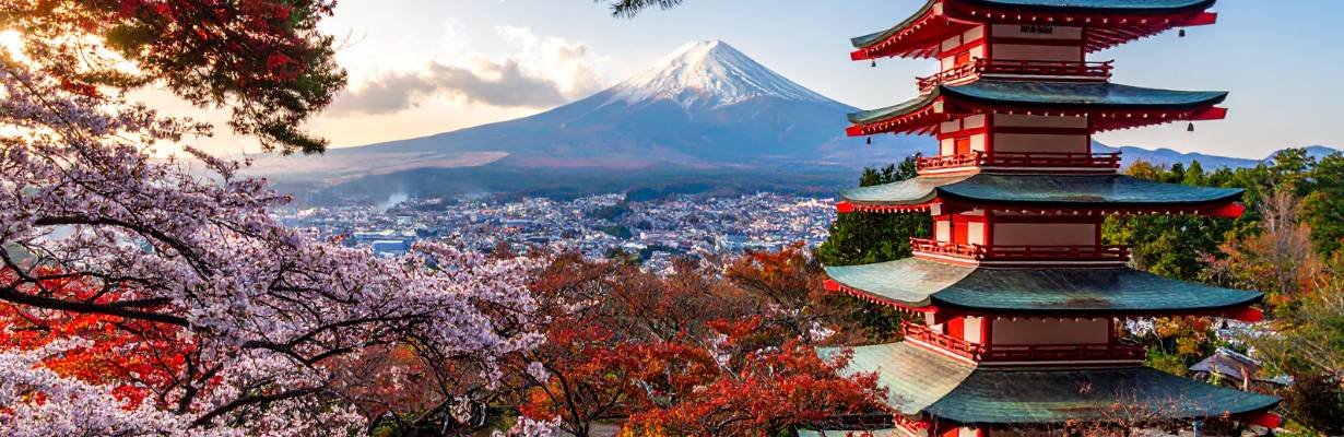 Festival das cerejeiras no Japão é cancelado após queixas de moradores