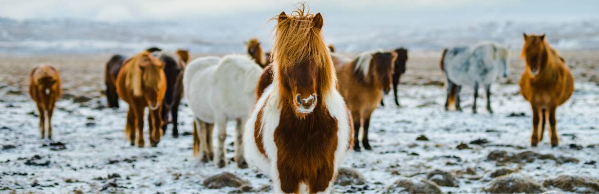 5 destinos famosos onde o real não vale quase nada em 2026