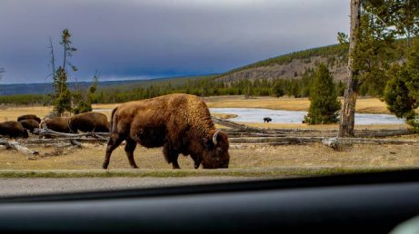 Roadtrip nos Estados Unidos: Conheça as 5 estradas mais cinematográficas do país