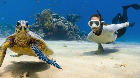 Playa del Carmen: 6 experiências que vão transformar sua viagem em 2026