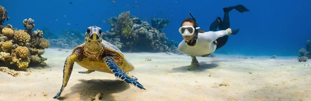 Playa del Carmen: 6 experiências que vão transformar sua viagem em 2026