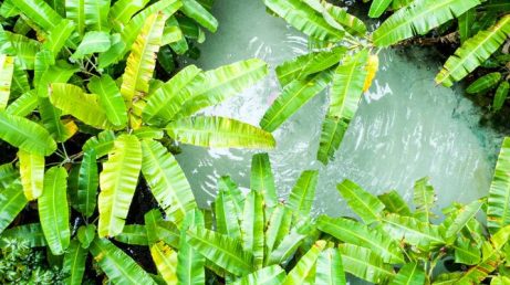 Nova taxa no Jalapão passa a valer em 2026 e entra na conta de quem planeja visitar o destino