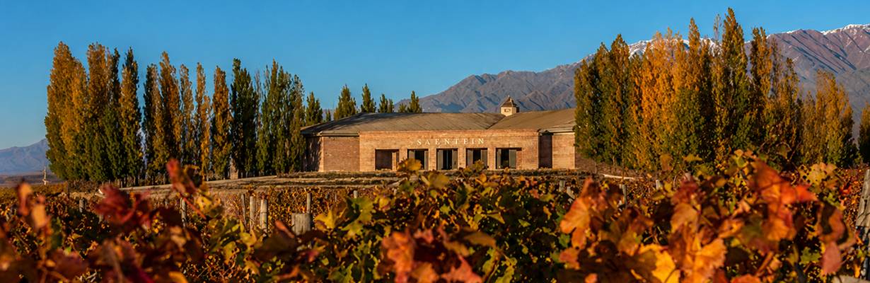 Bodega Salentein