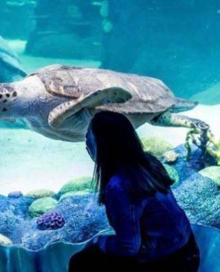 SEA LIFE Sydney Aquarium
