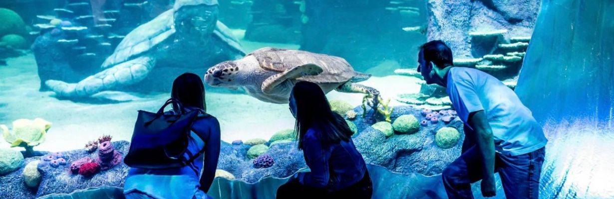 SEA LIFE Sydney Aquarium