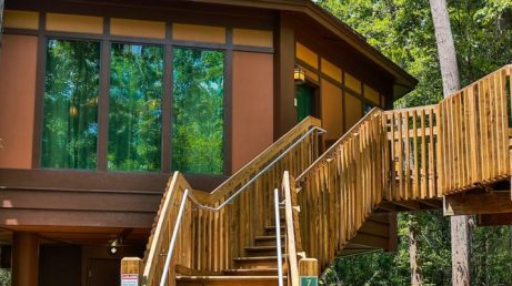 As Treehouse Villas do Disney’s Saratoga Springs Resort estão passando por uma renovação completa. As acomodações ganharão novos ambientes, decoração inspirada em filmes da Disney e elementos que valorizam a integração com a natureza. As primeiras unidades reformadas serão apresentadas aos hóspedes nos próximos meses.