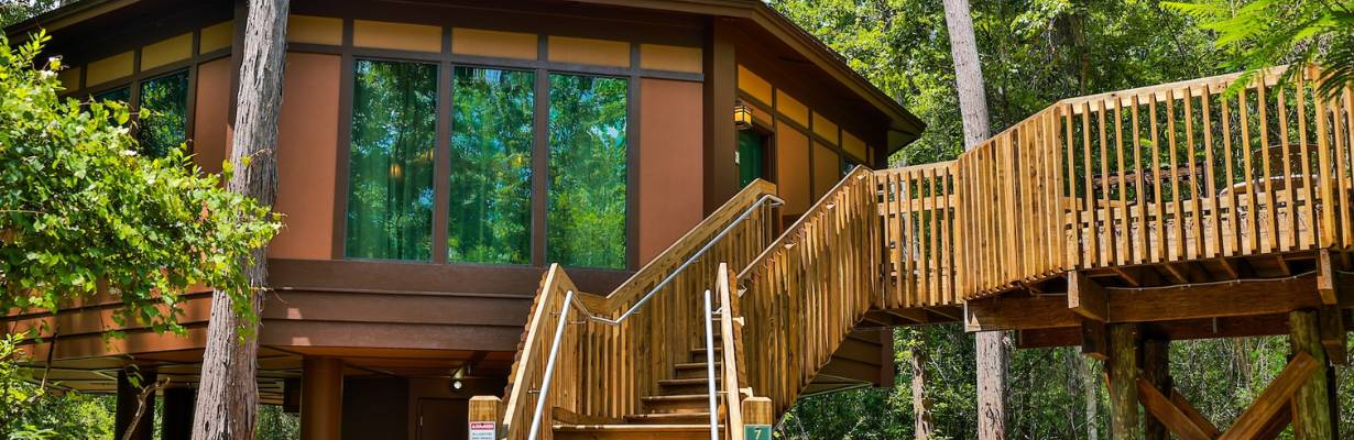 Disney apresenta novo visual das Treehouse Villas no Saratoga Springs Resort