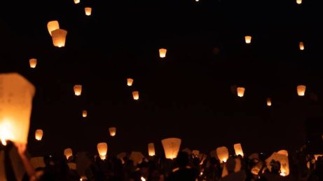 Espetáculo de luzes sobre a água chega ao Jardim Botânico de São Paulo