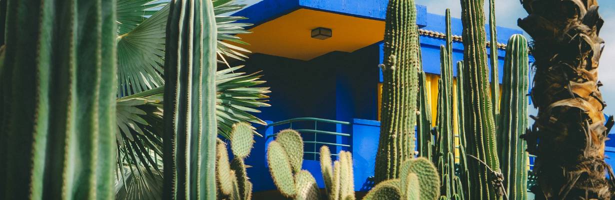 Jardim Majorelle