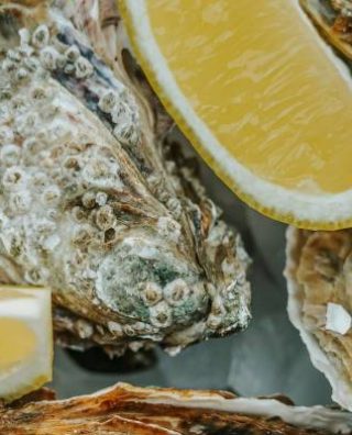 Sydney Fish Market