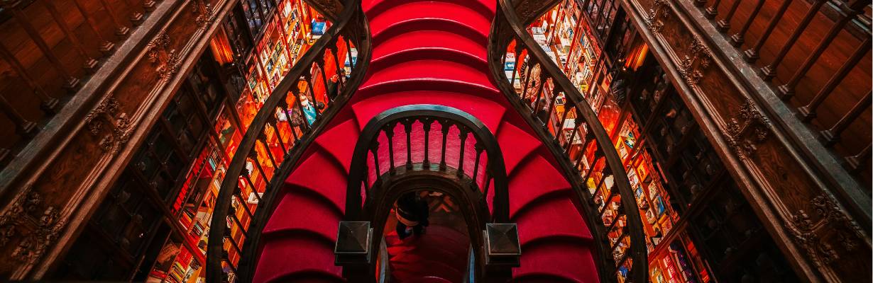 Dua Lipa ganha biblioteca permanente na Livraria Lello, no Porto