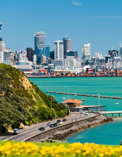 Banner - Auckland