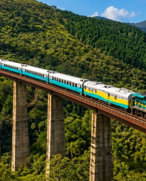 Trem da Estrada de Ferro Carajás: preços, roteiro e como fazer a viagem de 16 horas pela Amazônia