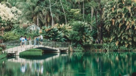 O Instituto Inhotim lançou um novo roteiro temático dedicado à arte brasileira e funcionará todos os dias durante as férias de julho. Além disso, o museu mantém dias com entrada gratuita e prepara uma programação especial em comemoração aos seus 20 anos.