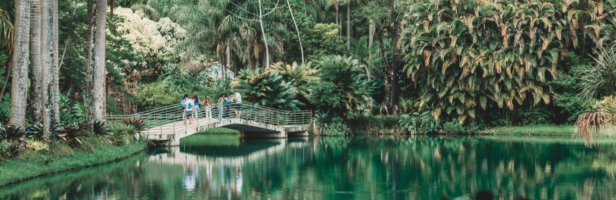 Férias no Inhotim: museu apresenta novo roteiro e abre todos os dias em julho
