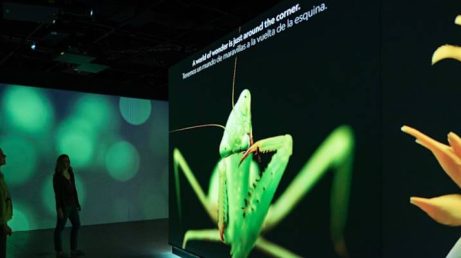 A National Geographic inaugurou um novo museu em Washington, D.C., com experiências imersivas, galerias interativas, exposições fotográficas e objetos usados em grandes expedições. O espaço celebra os 138 anos de história da instituição e aproxima os visitantes do universo da ciência, da natureza e da exploração.