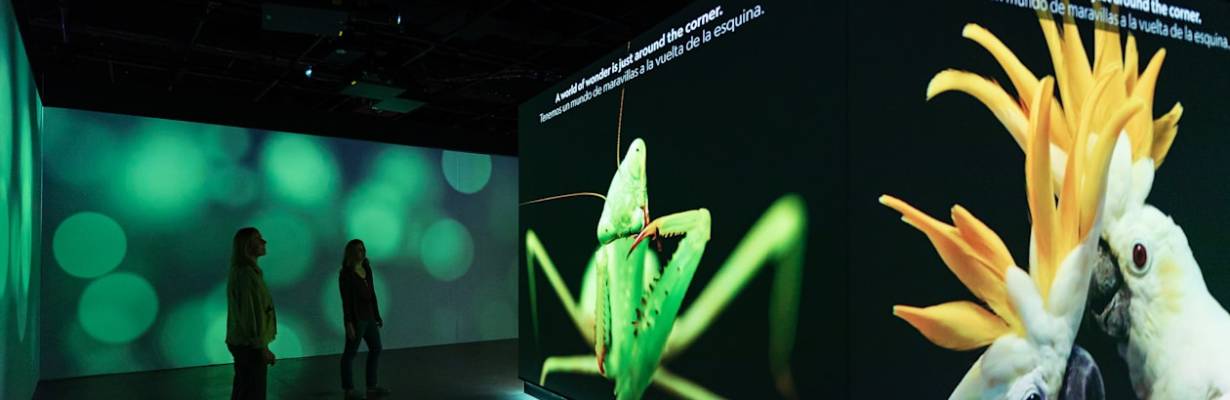 Novo museu da National Geographic transforma 138 anos de exploração em experiência imersiva