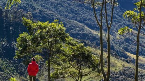 Gonçalves, em Minas Gerais, é um refúgio na Serra da Mantiqueira que reúne cachoeiras, trilhas, gastronomia mineira e pousadas charmosas. Veja um guia completo com as principais atrações, como chegar, onde comer e tudo o que você precisa saber para planejar sua viagem.