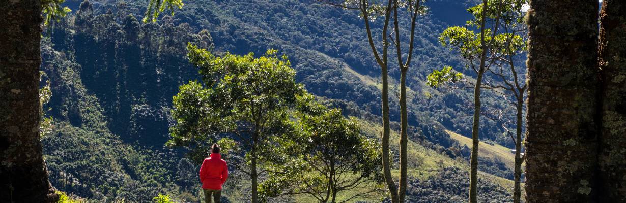 O que fazer em Gonçalves (MG): guia completo