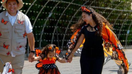 O SeaWorld San Diego prepara a maior edição do Howl-O-Scream para 2026, com seis casas assombradas, duas estreias, zonas de sustos, shows, bares temáticos e experiências de terror voltadas ao público adulto.