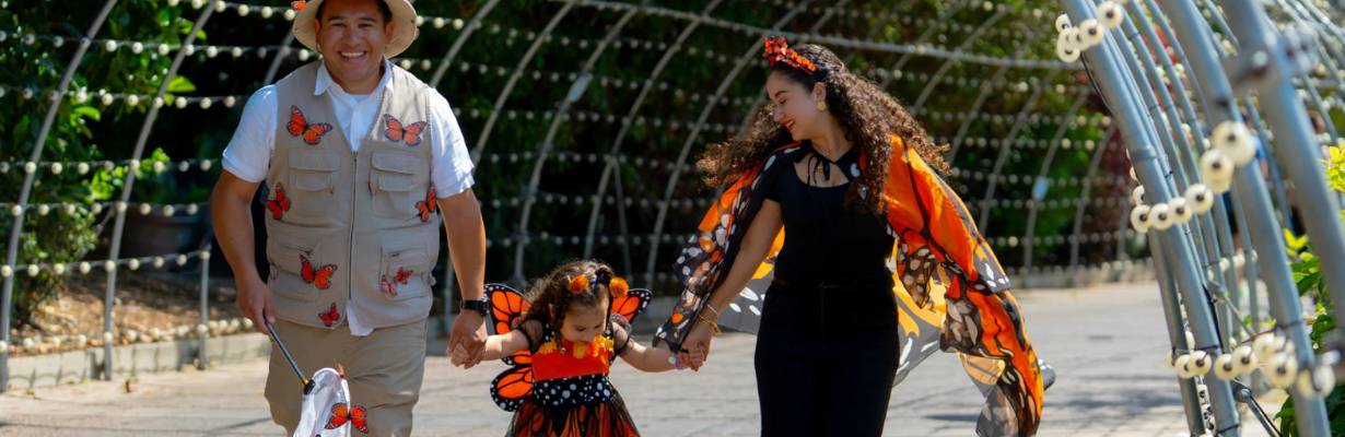 Halloween no SeaWorld San Diego terá seis casas assombradas e atrações inéditas