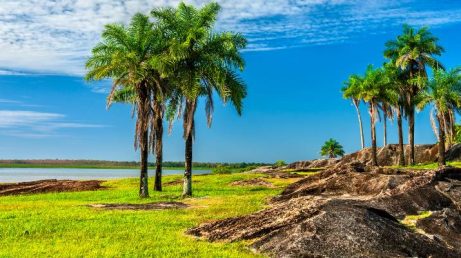 Mudança elimina uma exigência histórica para turistas brasileiros e deve facilitar as viagens ao território francês na América do Sul.