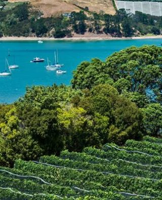 Waiheke Island