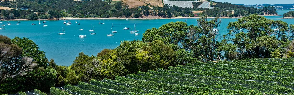 Waiheke Island