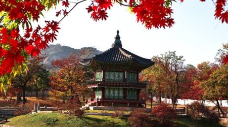 Seul é apenas o começo de uma viagem pela Coreia do Sul. Conheça 10 cidades que oferecem experiências diferentes, como praias em Busan e Gangneung, história em Gyeongju e Suwon, tradição em Jeonju e Andong e natureza na Ilha de Jeju.
