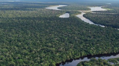 Descubra tudo o que você precisa saber antes de viajar para a Amazônia. Confira dicas sobre melhor época, clima, transporte, hospedagem, passeios, alimentação, segurança, o que levar na mala e como praticar um turismo mais sustentável na região.