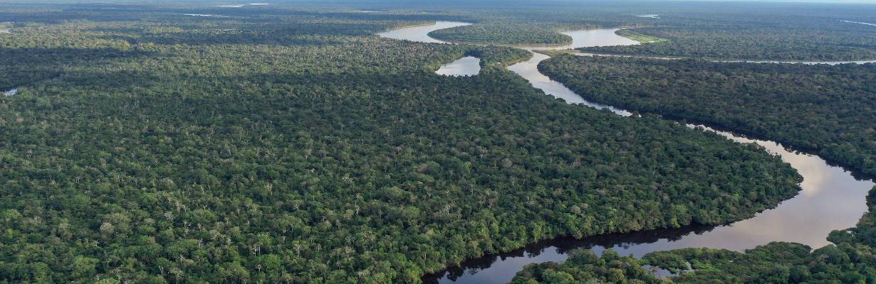 Viagem para a Amazônia: tudo o que você precisa saber antes de ir