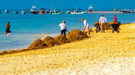 Governo do México anuncia investimento bilionário contra sargaço no Caribe