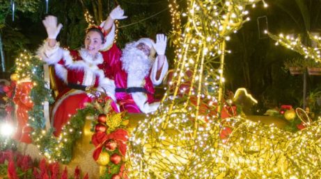 Holambra receberá uma programação especial de Natal entre novembro e dezembro, com neve artificial, milhares de luzes, desfile, jardins temáticos, apresentações culturais e gastronomia holandesa.