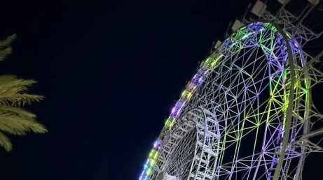 Orlando vai muito além dos grandes parques temáticos que colocaram a cidade no mapa do turismo mundial. Entre gastronomia, entretenimento, natureza, arquitetura e experiências diferentes, existem muitas outras formas de explorar o destino. Nesta matéria, você irá conhecer 5 lugares menos óbvio de Orlando - fora dos roteiros tradicionais.