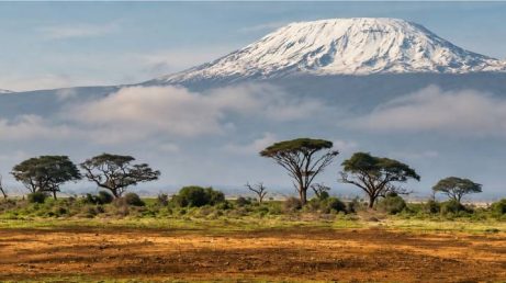 Confira 10 lugares e experiências para conhecer no Quênia, com opções que vão dos principais destinos de safári às praias do país.