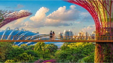 Criado pelo governo, o FirstDate usa um algoritmo de Nobel para aproximar solteiros e ajudar Singapura a enfrentar a baixa natalidade.