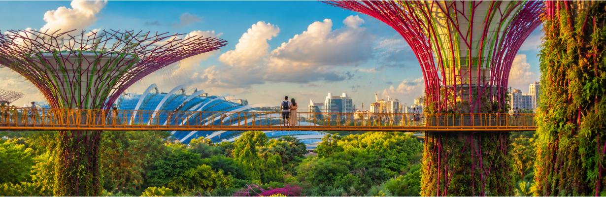 Singapura cria aplicativo de namoro? Veja quem pode dar match e como funciona