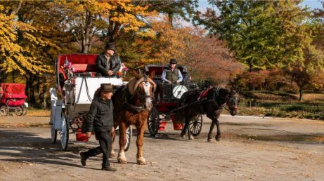 Nova York quer proibir passeios de carruagem no Central Park até 2028. Entenda o motivo e o que muda para os turistas.
