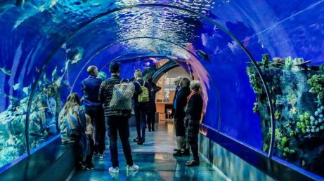 Oceanic Park, em Balneário Camboriú, terá montanha-russa giratória, torre de queda livre e mais de 100 atrações.