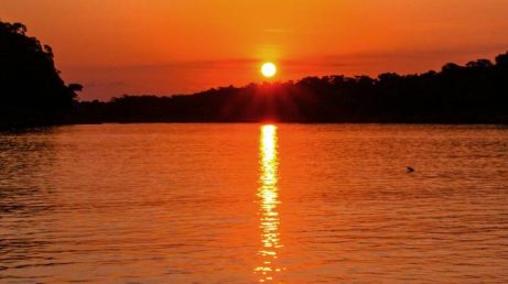 Visitar comunidades indígenas com autorização, observar jacarés durante a noite, pescar piranhas e navegar pelos rios estão entre as experiências que permitem conhecer diferentes aspectos da Amazônia brasileira.