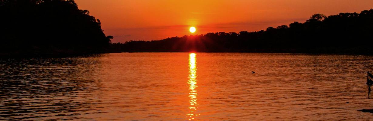 Pescar piranhas e observar jacarés: 8 experiências para viver na Amazônia