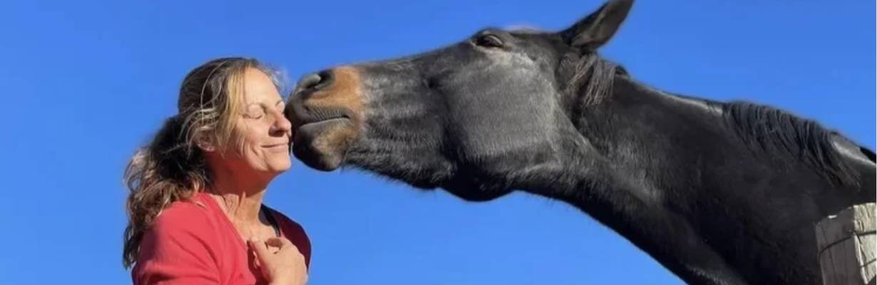 Nova Zelândia oferece hospedagem grátis para quem cuidar de animais resgatados